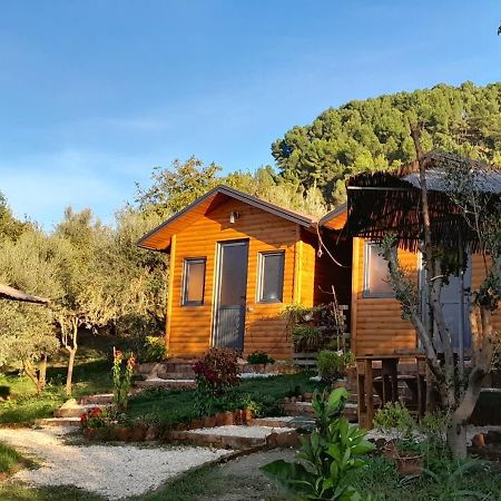 Maison d'hôtes Bujtina Musta à Berat Extérieur photo