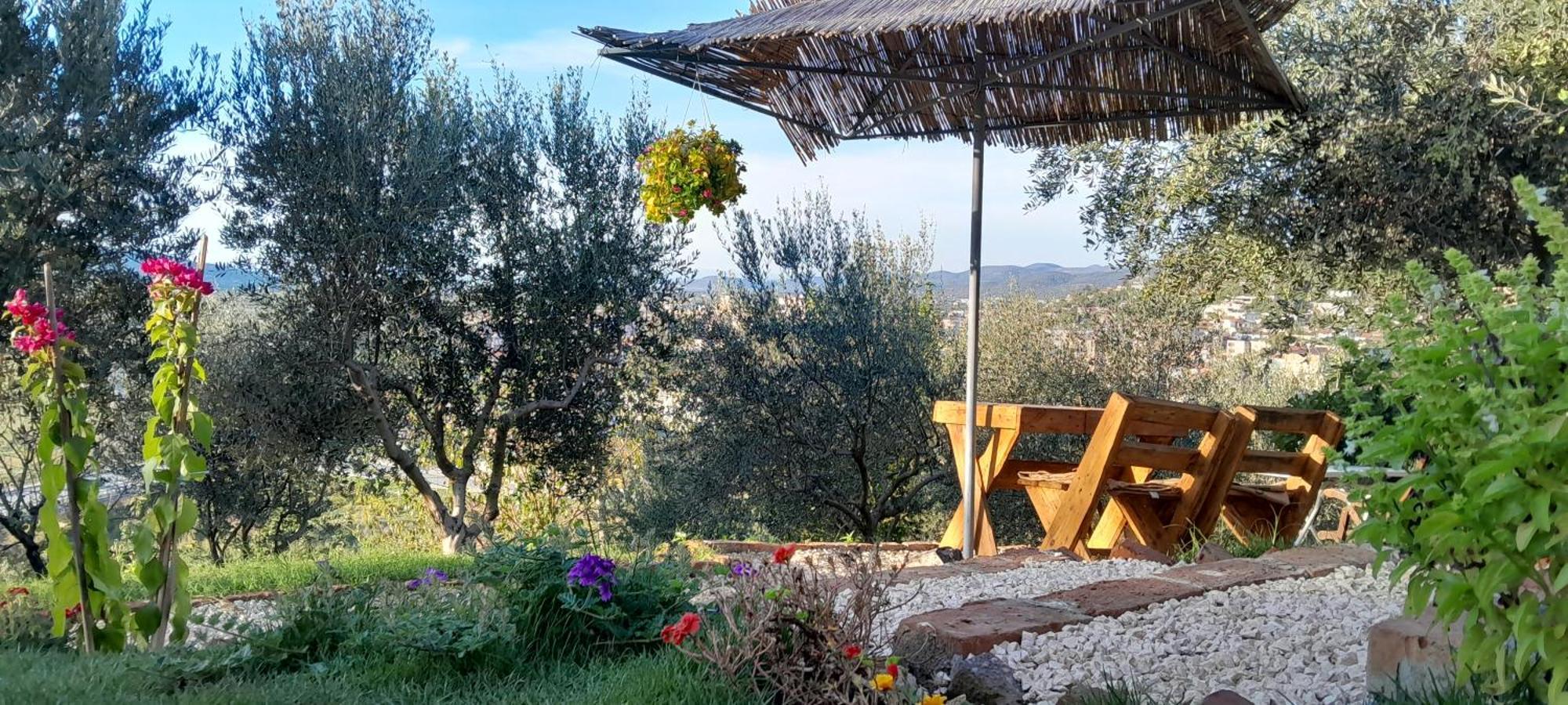 Maison d'hôtes Bujtina Musta à Berat Extérieur photo