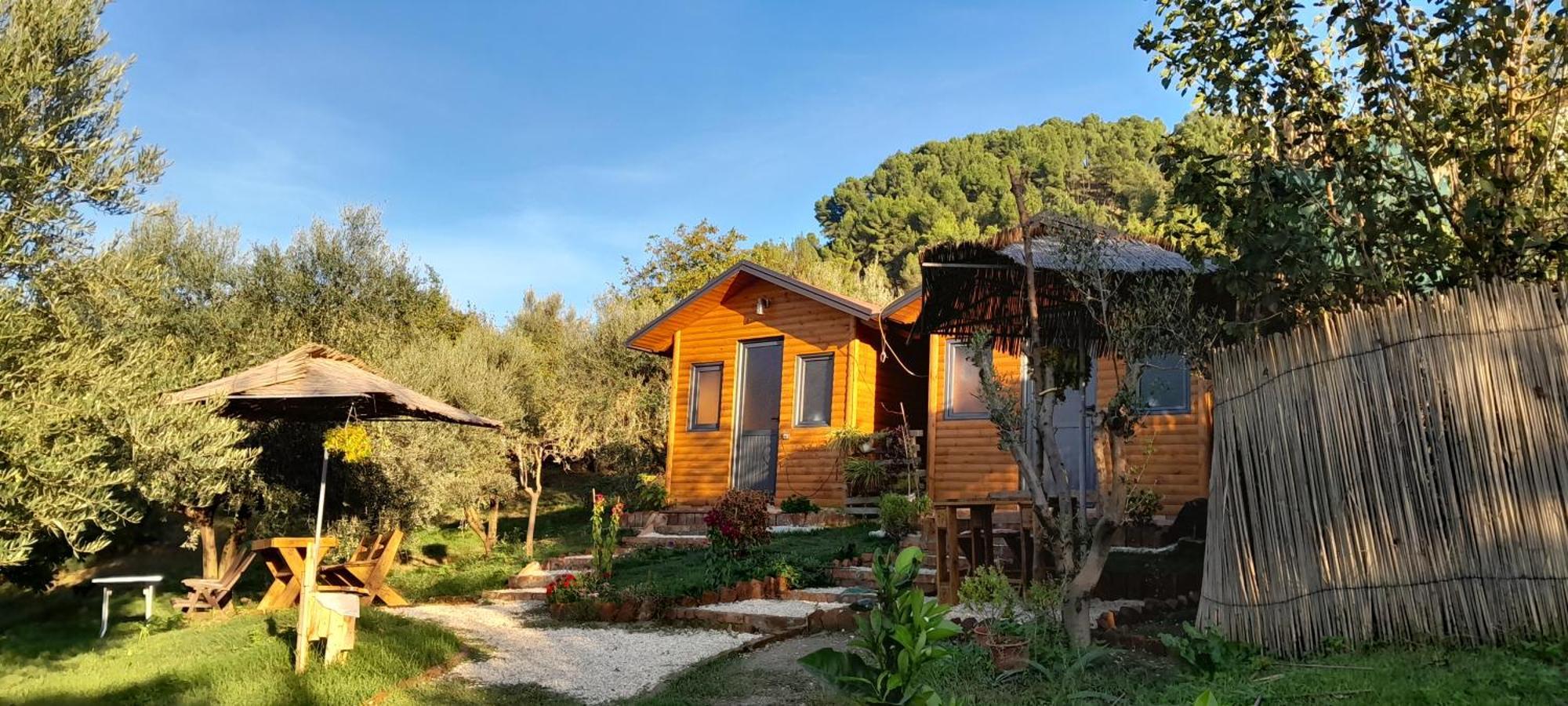 Maison d'hôtes Bujtina Musta à Berat Extérieur photo