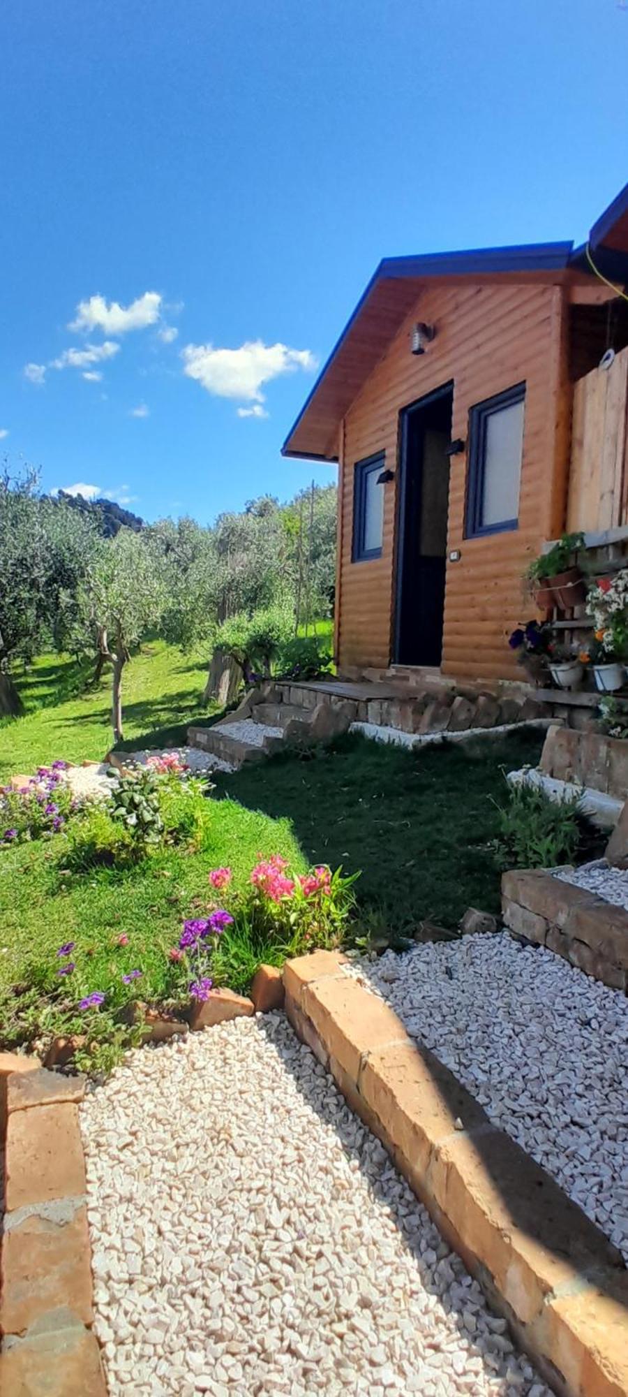 Maison d'hôtes Bujtina Musta à Berat Extérieur photo